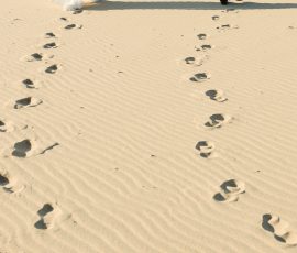 Noivos caminham na areia deixando pegadas — Humberto Barbosa capta fotografia de casamento em Santa Maria da Feira